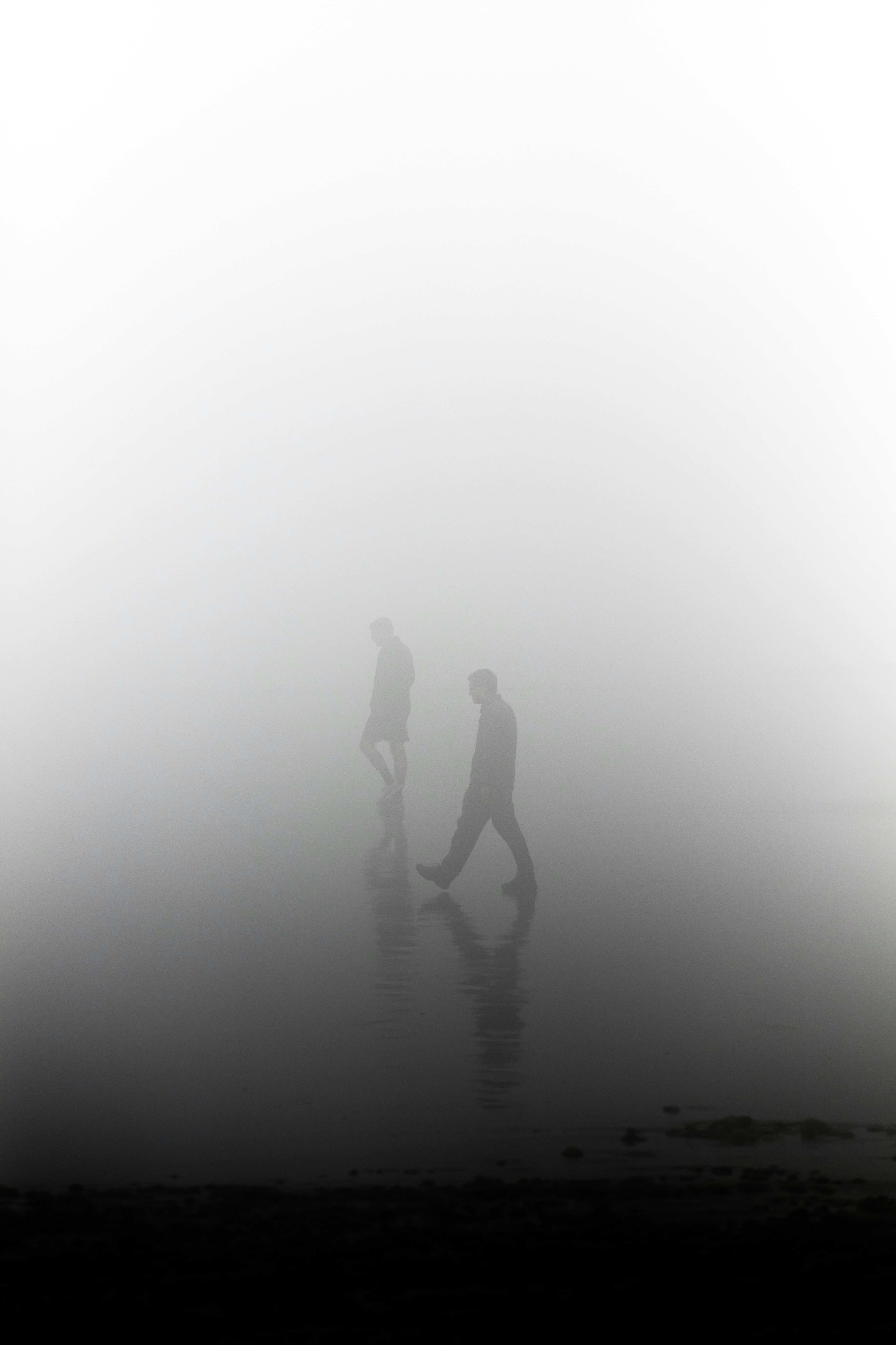 Dos siluetas caminando en una playa envuelta en niebla