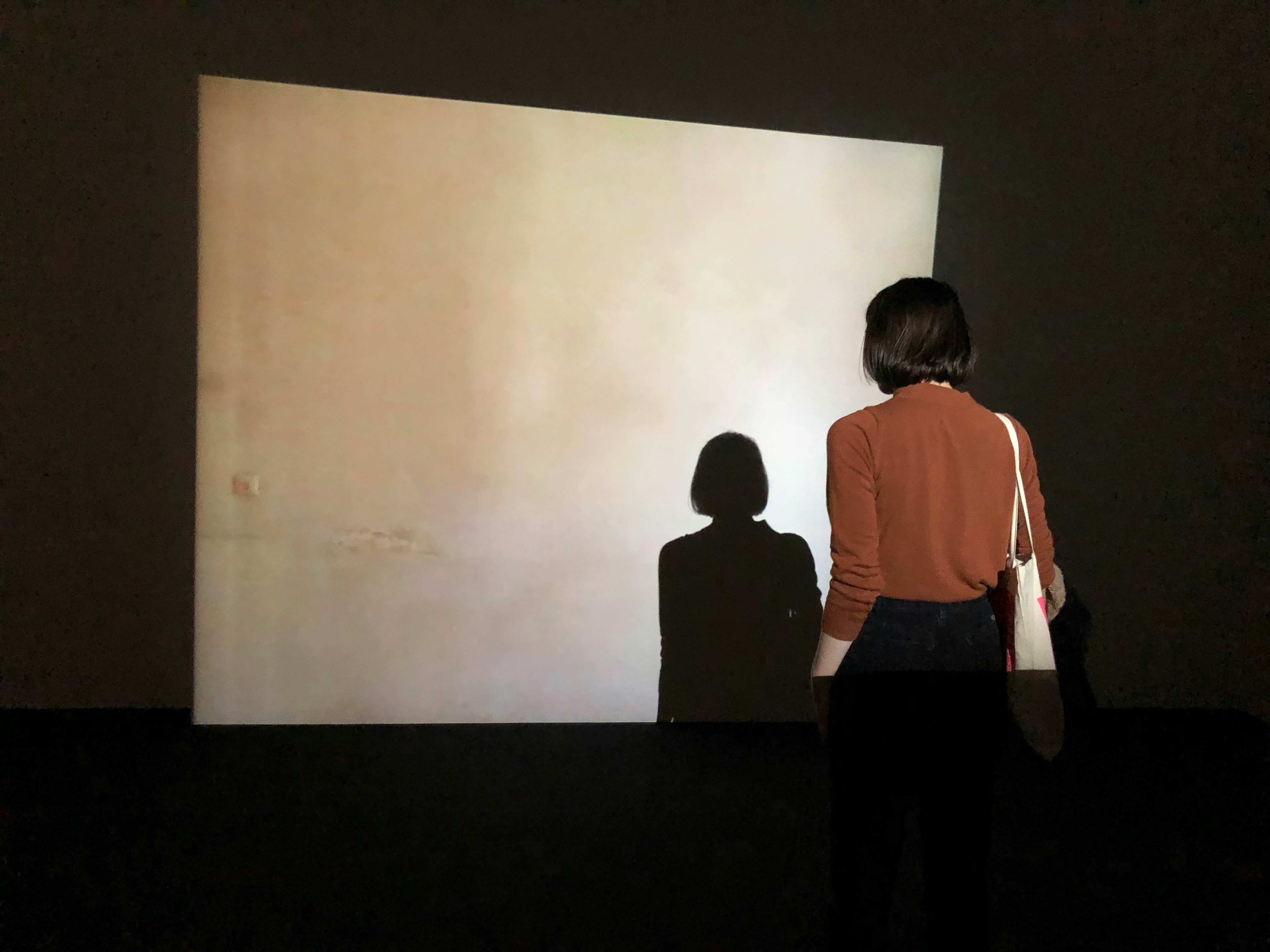 Una mujer observa su propia sombra proyectada sobre una pantalla en blanco