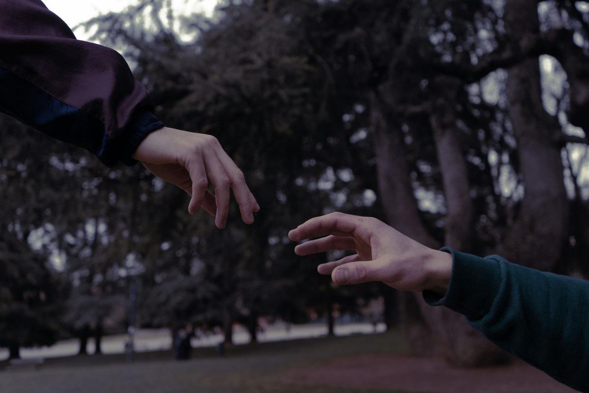 Dos manos que se acercan sin llegar a tocarse, en un parque al atardecer