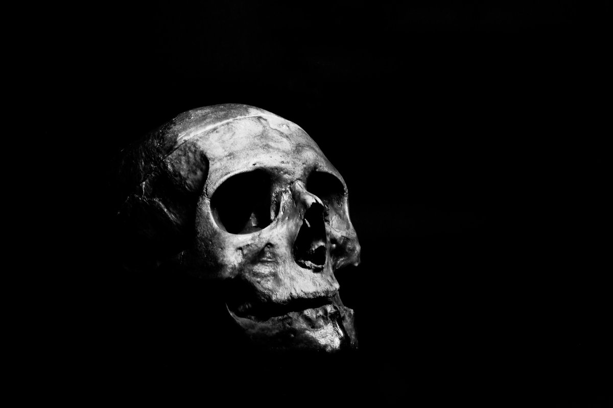 Cráneo humano iluminado contra un fondo negro